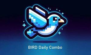 Bird daily combo 3 1024x536 1